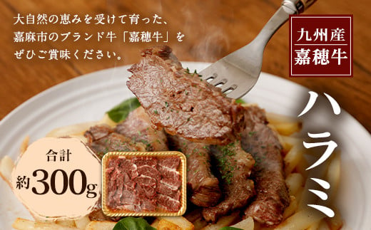 嘉穂牛ハラミ約300g数量限定ブランド牛牛肉