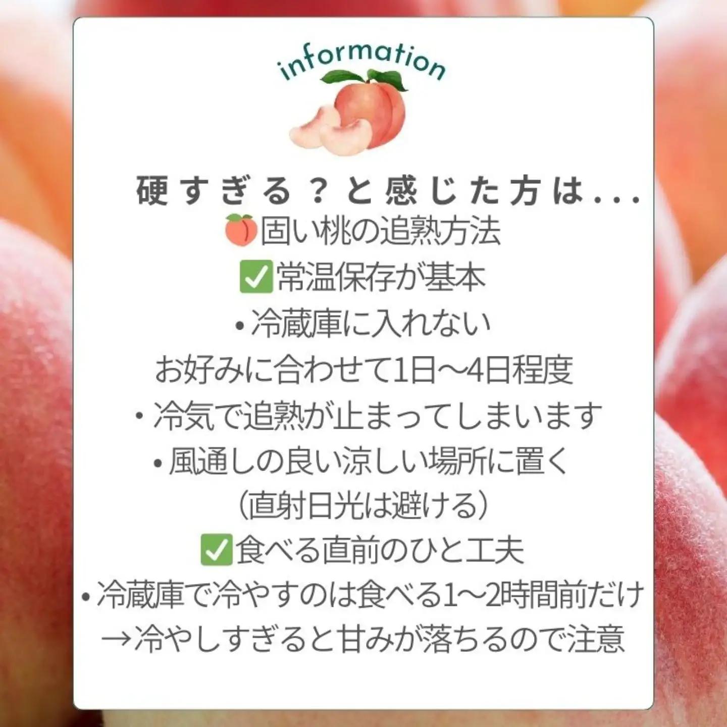 【2027年　先行予約】日本一の産地山梨県産　朝採れカターい桃 約２Kg（5～8玉）｜もも フルーツ