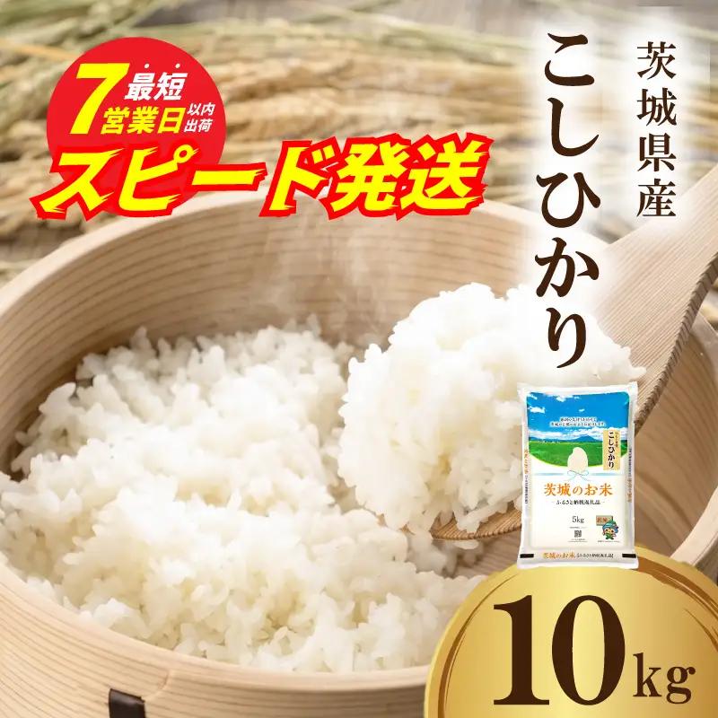 【令和7年産】スピード発送米 こしひかり 白米 10kg [A-rin002]