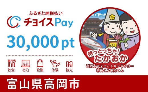 高岡市チョイスPay 30,000pt【会員限定のお礼の品】