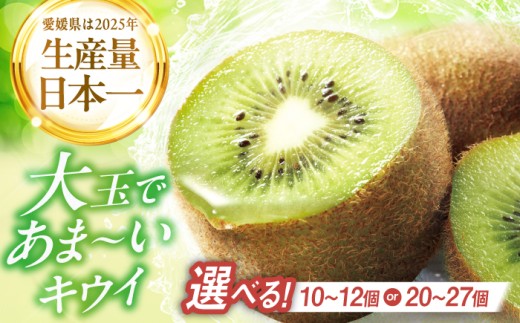 食品 果物 フルーツ おやつ デザート キウイ ジュース スムージー ヨーグルト 贈答品 ギフト プレゼント