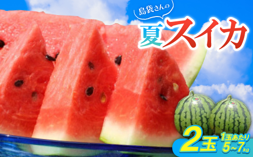 【先行受付・2026年8月中旬から順次発送】島袋さんの夏スイカ大玉 2玉(1玉5.0～7.0kg)【配送不可地域：離島】