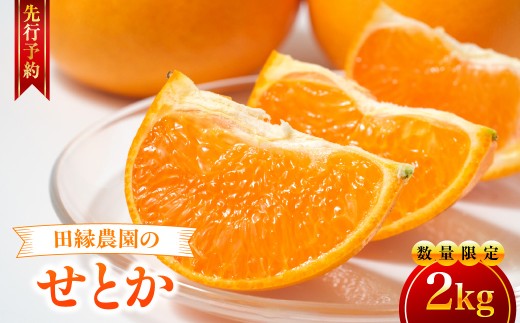 【先行予約】【数量限定】田縁農園のせとか2kg  ※離島への配送不可 （2027年3月5日より順次発送） 【 ふるさと納税 人気 おすすめ ランキング みかん ミカン 蜜柑 せとか フルーツ 果物 愛媛県産 田縁農園 愛媛県 伊方町 送料無料 】 IKTA027
