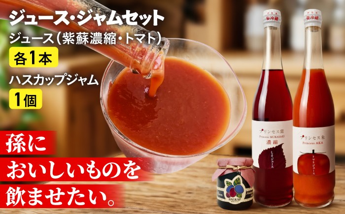 
                  厚真のお母さん手づくりジュース（紫蘇濃縮・トマト 500ml×各1本）＆土居農園ハスカップジャムセット《厚真町》【手づくりグループあすなろ】 しそ 紫蘇 とまと トマト ジュース 手づくり ハスカップ ジャム セット 北海道 [AXAQ002]
                