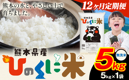 【12ヶ月定期便】 無洗米 ひのくに米 5kg 無洗 《お申込み翌月から出荷》