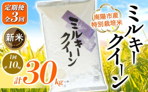 
            【令和7年産 新米 先行予約】 【金賞受賞農家】 《定期便3回》 特別栽培米 ミルキークイーン 計10kg(5kg×2袋)×3か月 《令和7年10月上旬～発送》 『あおきライスファーム』 山形南陽産 米 白米 精米 ご飯 農家直送 山形県 南陽市 [2410-R7]
          