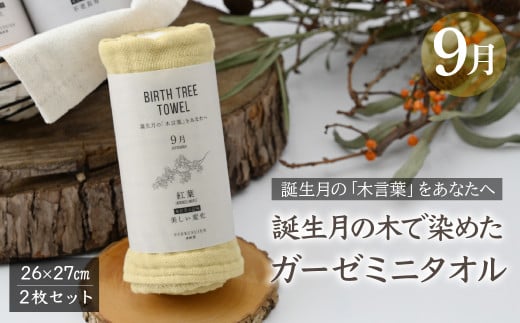 9月「紅葉(モミジ)」の木言葉 「美しい変化」　 BIRTH TREE TOWEL  | RYOKUSUIEN 緑酔園 草木染め THE NEWOLD WORKS バースツリータオル 紅葉 モミジ ガーゼ タオル ハンカチ  ふわふわ 植物 草木染ガーゼ アップサイクル エシカル ヘリンボーン ギフト贈り物 お祝い プレゼント 母の日 父の日 記念日　埼玉県 草加市 草加