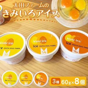 きみいろアイス　60g×8個 ｜ アイス ジェラート 乳製品  EB8-0392