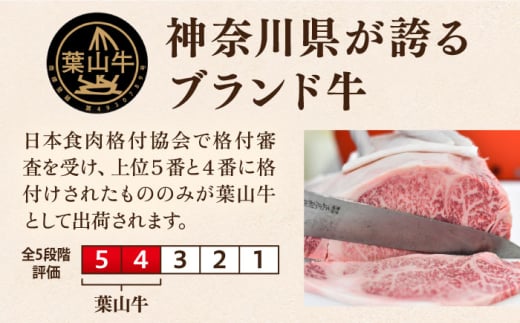【選べる容量！】【数量限定20セット】葉山牛 サーロインステーキ ステーキ すてーき ステーキ肉 すてーき肉 牛肉 国産 ブランド 絶品 高級 極上 人気 おすすめ オススメ 葉山牛 厚切り 神奈川県