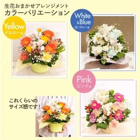 生花お任せアレンジメントM イエロー系 お祝いやお誕生日におすすめ【配送不可地域：離島・沖縄県】【1636498】