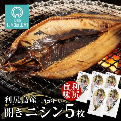 ふるさと納税 利尻富士町 利尻島産 開きニシン5枚＜利尻漁業協同組合＞