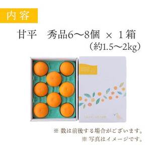 【2025年1月下旬以降発送】愛媛限定栽培柑橘 甘平(かんぺい) 贈答用 のし付き【D25-169】【1536582】