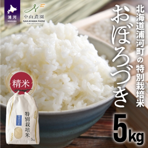 【令和5年産】北海道浦河町の特別栽培米「おぼろづき」精米(5kg×1袋)[37-1132]