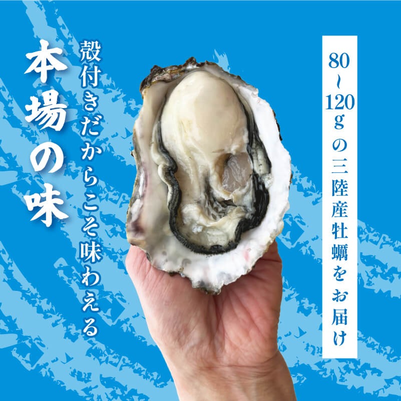 生食可 冷凍 牡蠣 殻付き牡蠣 春っこ 牡蠣 1袋 ( 12個入り )  冷凍 数量限定 かき カキ 殻付き牡蠣 [funamoto003]
