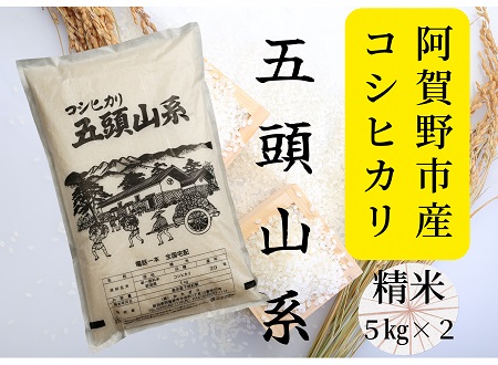 【新米】「米屋のこだわり阿賀野市産」コシヒカリ 10kg 1E02022