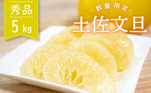 【2026年2月より順次発送】土佐文旦 秀品 5kg 高知県産 柑橘 フルーツ 文旦 ぶんたん ブンタン 果物 産地直送 高知県 須崎 KG008