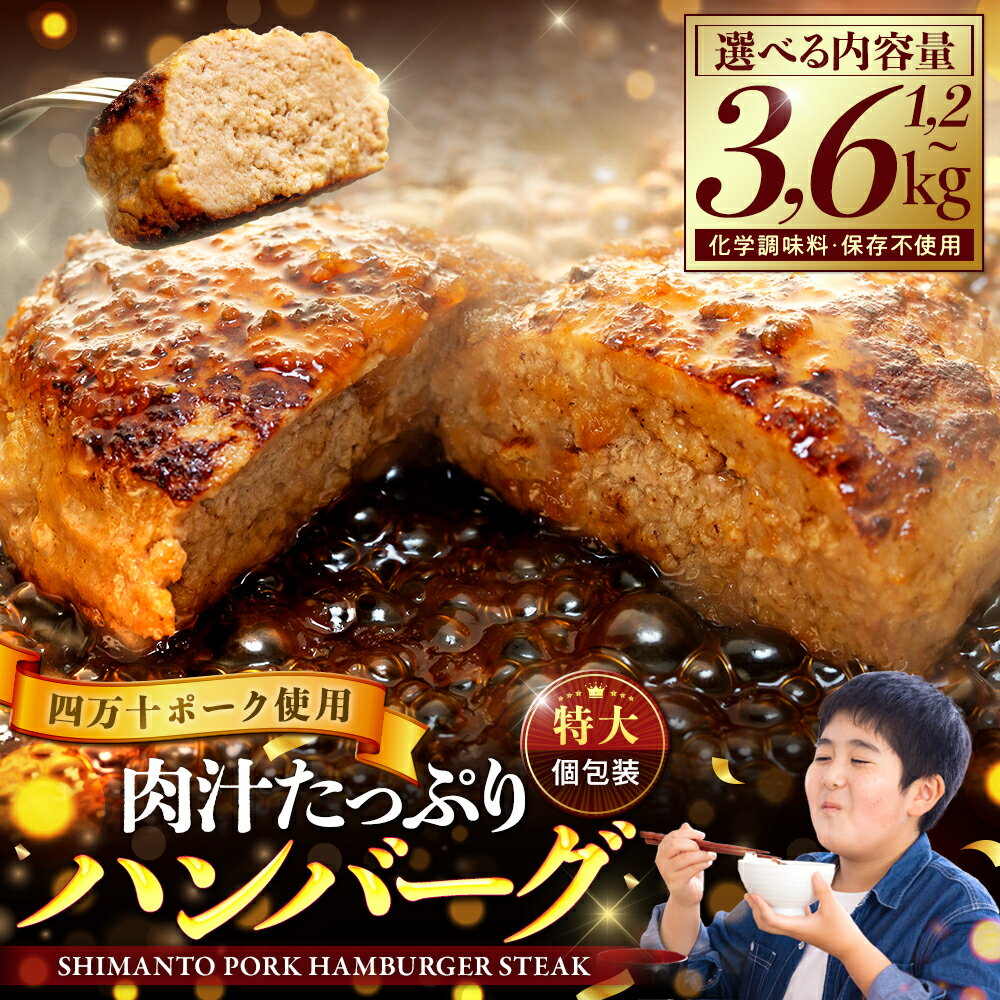 【ふるさと納税】 ハンバーグ 発送月が選べる 四万十ポーク 入り 1.2kg 2.4kg 3.6kg ( 200g x 6個 ／ 12個 ／18個 ) 選べる 容量 個包装 化学調味料 不使用 保存料 無添加 ハンバーグ 高知県 ブランド豚 合挽き ふるさと納税ハンバーグ （クラウドファンディング対象）
