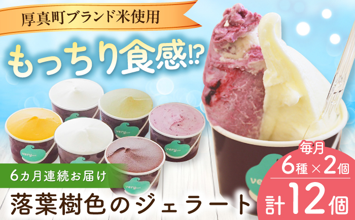 
                  【全6回定期便】落葉樹色のジェラート6種×2セット 《厚真町》【株式会社クーバル】 ジェラート アイス セット アソート 米粉 詰め合わせ スイーツ 北海道 定期便 [AXBQ034]
                