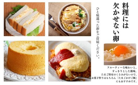 【定期便】やさしい甘みあふれる卵『ピュア・エッグ』30個×３か月お届け コクがあるのにフルーティーな甘さ
