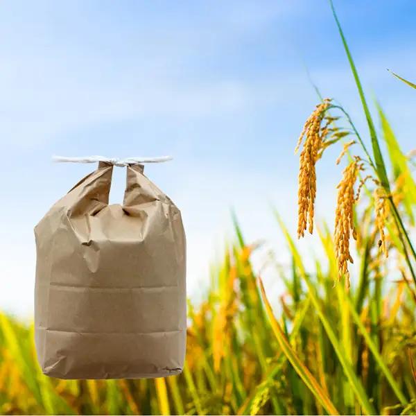 令和7年産 あきたこまち 白米 5kg 秋田県産 湯沢市産 新米 お米 白米 国産 ご飯【BARUバイオジャパン吉村】[B7-9902]