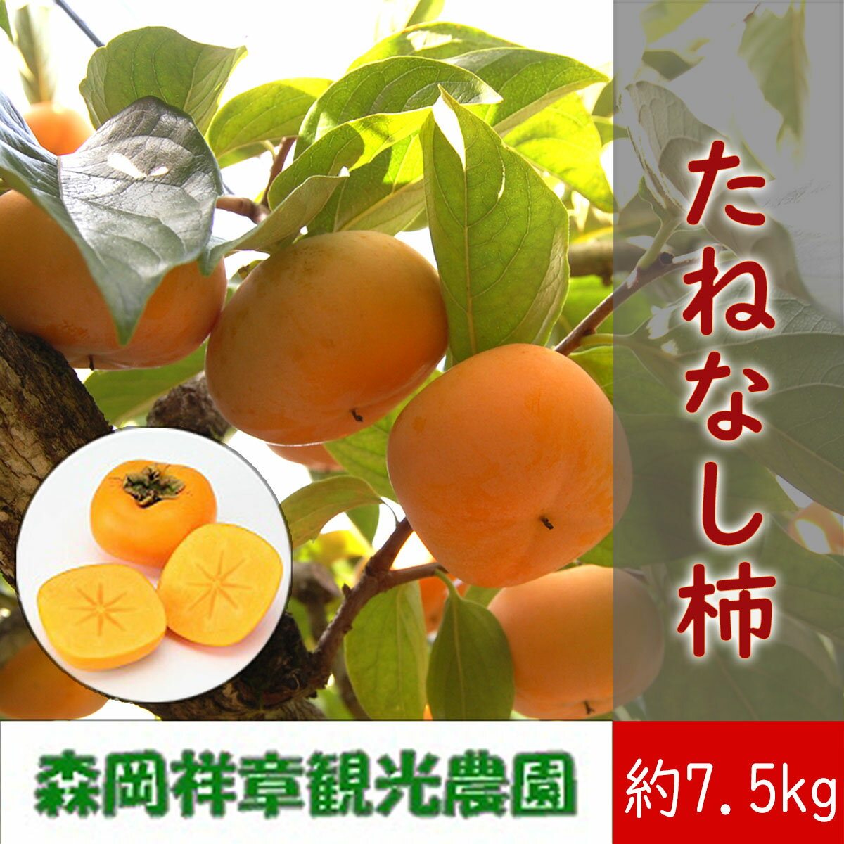 【ふるさと納税】【予約受付中】 奈良県桜井産 たねなし柿 約7.5kg ／奈良 山辺 歴史 旬 夏 くだもの フルーツ 自家栽培 かき ジャム 甘い デザート 期間限定 数量限定 森岡祥章観光農園