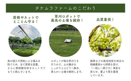 枝に沿ってすべて屋根を設置。大切に育てています。
