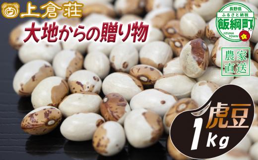 信州産 豆 虎豆 1000g 1kg 上倉荘 沖縄県への配送不可 2025年10月中旬頃から2026年2月上旬頃まで順次発送予定 信州 お豆 まめ マメ 野菜 9500円 長野県 飯綱町 [1859]