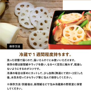 S089-010_天草蓮根　約4キロ