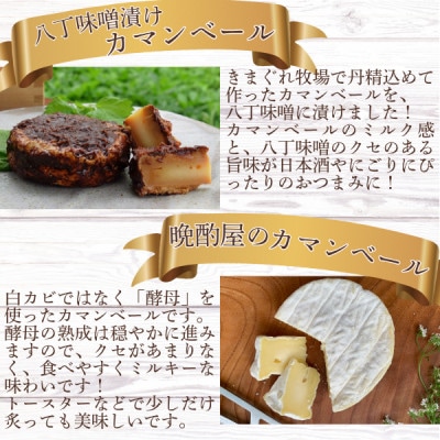 北海道産チーズのバラエティーセット(カマンベール・ウォッシュチーズ・ストリングチーズ)【配送不可地域：離島】