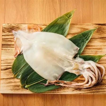 北海道産 真いか一夜干し 2杯×4個セット_一夜干し 烏賊 いか イカ 焼魚 焼き魚 セット ひもの 冷凍 魚介類 海鮮 絶品 人気 笹谷商店 直営 釧之助本店 高級 北海道 釧路町 釧路超 特産品 