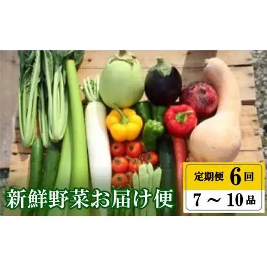 【早期予約】 野菜定期便 6ヶ月 7 ～ 10 品