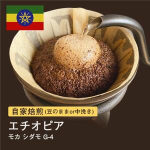 【粉】#012 モカ シダモG-4 コーヒー豆 310g 当日焙煎 大山珈琲