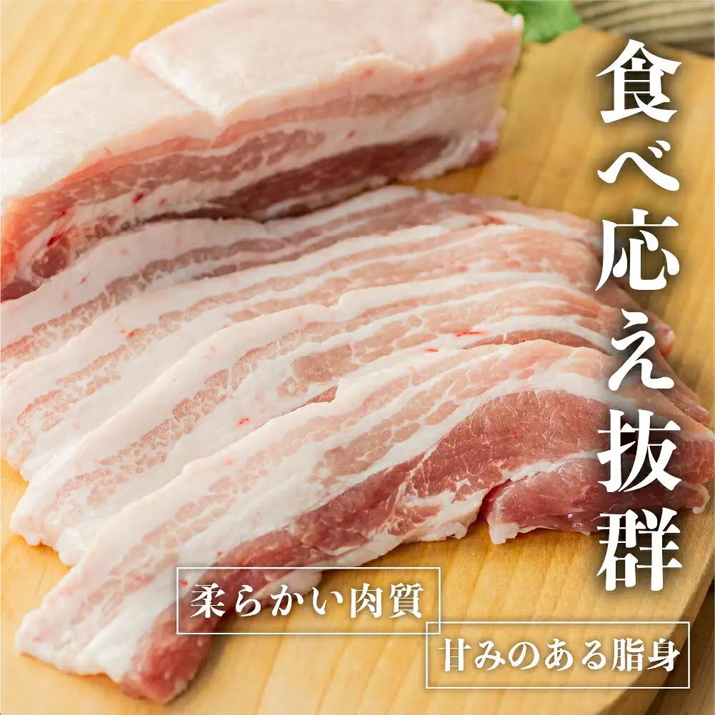 定期便6回 結旨豚食べつくし 6か月 バラ ブロック ロース 肩ロース とんかつ用 生姜焼き用 しゃぶしゃぶ 焼肉 焼き肉 切り落とし モモ 国産 白川村産 真空パック 小分け 焼肉 ブランド豚 ゆい