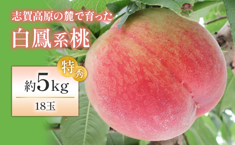 
                  志賀高原の麓で育った 桃（白鳳系）特秀18玉 約５kg  桃 もも 白鳳 フルーツ 果物 デザート 長野県 長野 
                