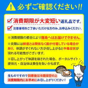 【数量限定】 獲れたて直送 ホッキ貝 約4kg　（ホッキ 北寄 ほっき貝 北寄貝 貝 魚介類 魚貝類 海鮮 北海道産 道産 新鮮 活魚 活貝 産地直送 生 国産 とよとみ 北海道 豊富町）