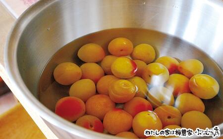 梅ジュース＆梅ジャムづくり体験チケット  A-137