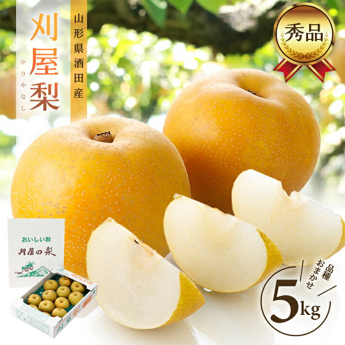 【ふるさと納税】酒田の美味しい刈屋梨 秀品 約5kg 12～18玉 8月下旬〜9月下旬頃お届け ※着日指定不可 刈屋梨 和梨 梨 果物 くだもの フルーツ 夏 秋 旬 酒田 庄内 刈屋