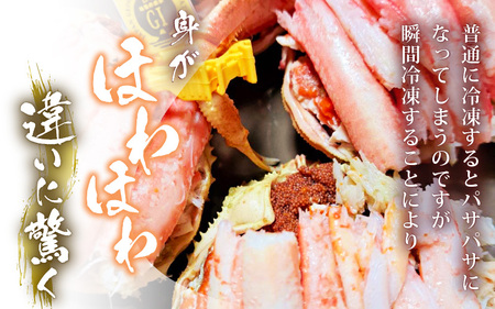 【先行予約】せいこがに（越前がに） 甲羅盛り 中 約80g × 3杯 【冷凍】【2026年11月下旬以降順次発送予定】せいこがに [m36-c001]