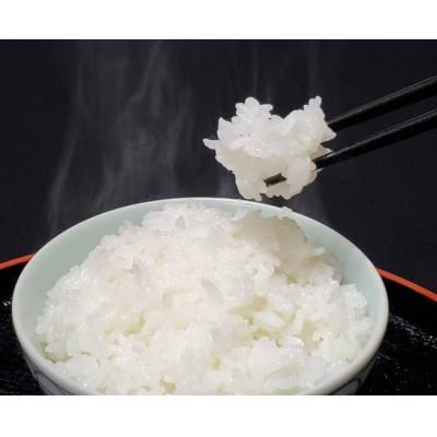 ふるさと納税 新庄市 【毎月定期便】米の匠みのりガーデン/金賞受賞農家の【特上 コシヒカリ】5kg全12回 |  | 01