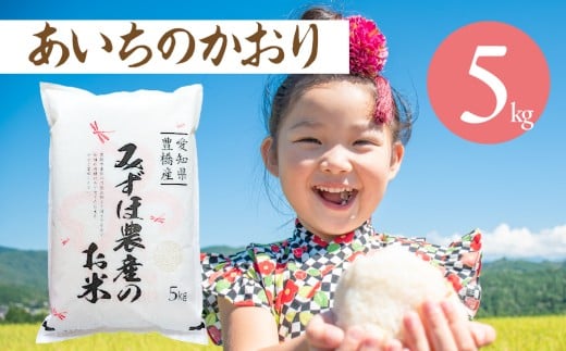あいちのかおり 5kg お米 おこめ コメ 米 こめ kome 5キロ ふるさと納税米 産地直送 送料無料 愛知県 豊橋市