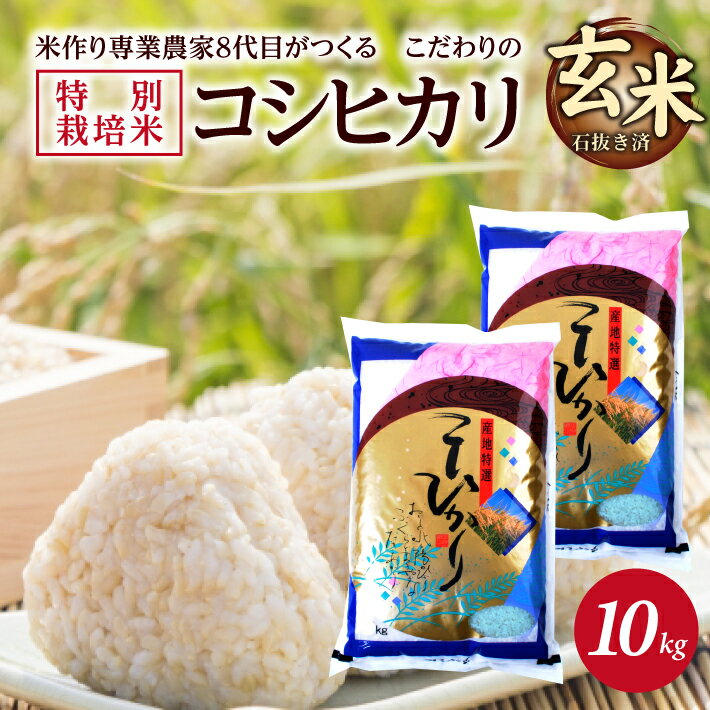 【ふるさと納税】≪新米予約≫ 玄米 特別栽培米 コシヒカリ 計10kg 5kg×2袋 令和8年産米 山形県産 ご希望時期頃お届け 米 庄内米 ごはん ご飯 農家直送 産地直送 東北 山形県 酒田市 庄内 発送時期が選べる