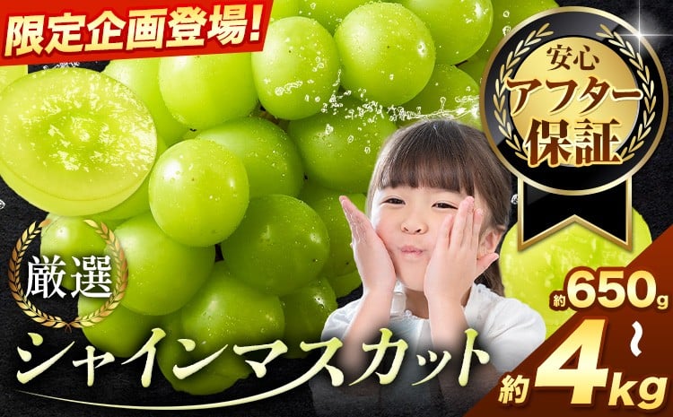 
            【チョイス限定】【アフター保証付】シャインマスカット 厳選 訳あり シャインマスカット 選べる 約650g 約1.3kg 約2kg 計約4kg 約2kg×2回定期便【2026年先行予約】《9月上旬-11月上旬頃に出荷》岡山県 浅口市 シャインマスカット ぶどう フルーツ 果物 贈り物 ギフト 国産 岡山県産 送料無料 ブドウ
          