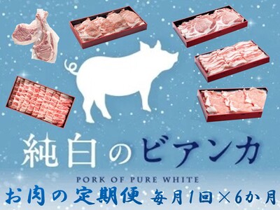 【6か月定期便】純白のビアンカコース 毎月違うお肉をお届け 計4kg超 豚バラ 豚ロース 骨付き ポークステーキ しゃぶしゃぶ 焼肉 1D22048