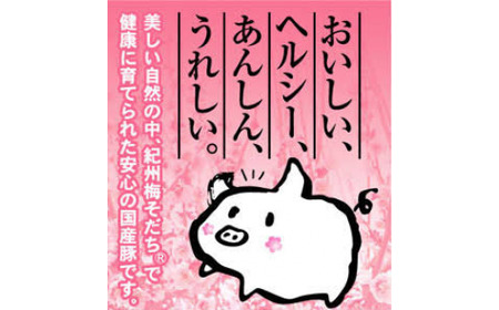 にんにく餃子セットギフトBOX　計50個（25個入り×2パック） / 和歌山県 田辺市 ぎょうざ ギョウザ ギョーザ 手作り 紀州うめぶた 無添加 冷凍【gyz016】