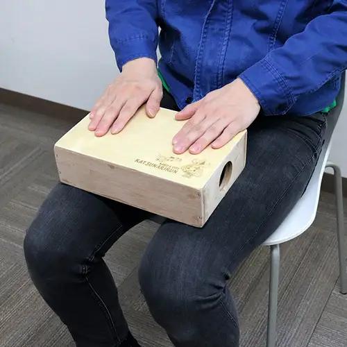 No.291 かつなりくんミニカホン（TCA-8）