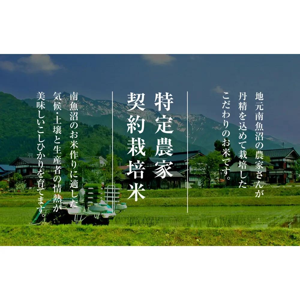 【令和8年産新米予約】【定期便全3回】南魚沼産こしひかり2kg×全3回　契約栽培  雪蔵貯蔵米【2026年10月中旬より1か月以内に順次発送予定】
