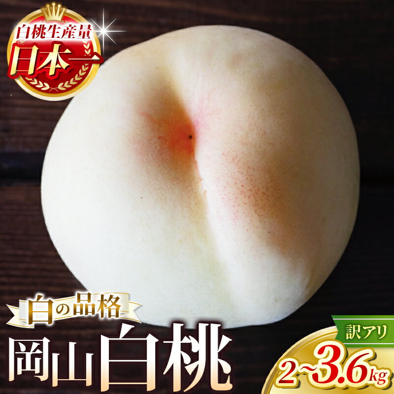 【ふるさと納税】 桃 白桃 約2kg / 3.6kg 【2026年先行予約】 訳あり【7月下旬～9月下旬まで順次発送予定】/ 桃 もも モモ 川中島白桃 白鳳 清水白桃 果物 くだもの フルーツ 規格外 お取り寄せ 期間限定 数量限定 送料無料 産地直送 人気 岡山