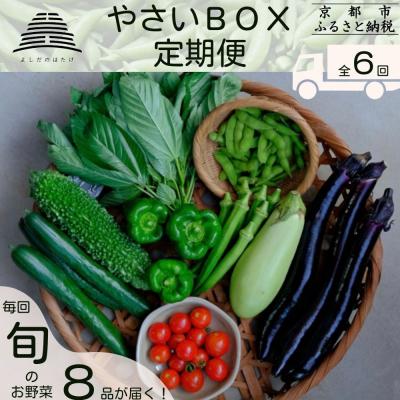 ふるさと納税 京都市 <定期便6回>【よしだのはたけ】旬の野菜8品 やさいBOX