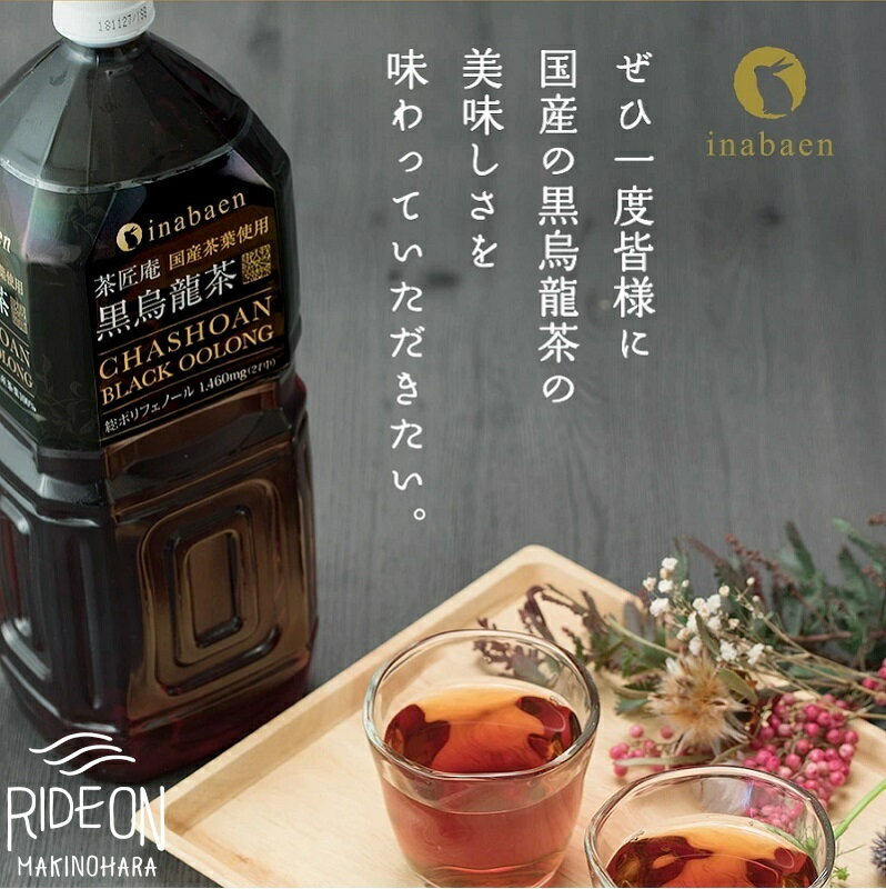 【ふるさと納税】 定期便 3か月 静岡県産 黒烏龍茶 2L × 9本 ペットボトル 黒ウーロン茶 国産 ポリフェノール配合 いなば園 ウーロン茶 お茶 健康飲料 ダイエット サポート 渋み 抗酸化作用 カテキン 体脂肪 燃焼 健康維持 定期配送 牧之原市 静岡県