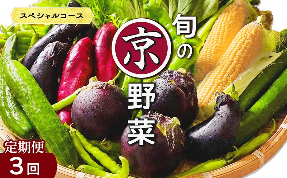 
                  野菜定期便 3回 7~10種類 旬の京野菜 スペシャルコース 詰め合わせ 季節 旬 野菜 やさい 野菜便 国産 国産野菜 新鮮 おまかせ 産地直送 春野菜 夏野菜 秋野菜 冬野菜 葉物 果菜 根菜 カット野菜 京都府産 亀岡市産 京丹波町産 季節の野菜 九条ネギ なす 唐辛子 サラダ トマト 京水菜 壬生菜 スナップエンドウ 聖護院大根 聖護院かぶら 里いも つるむらさき 送料無料
                